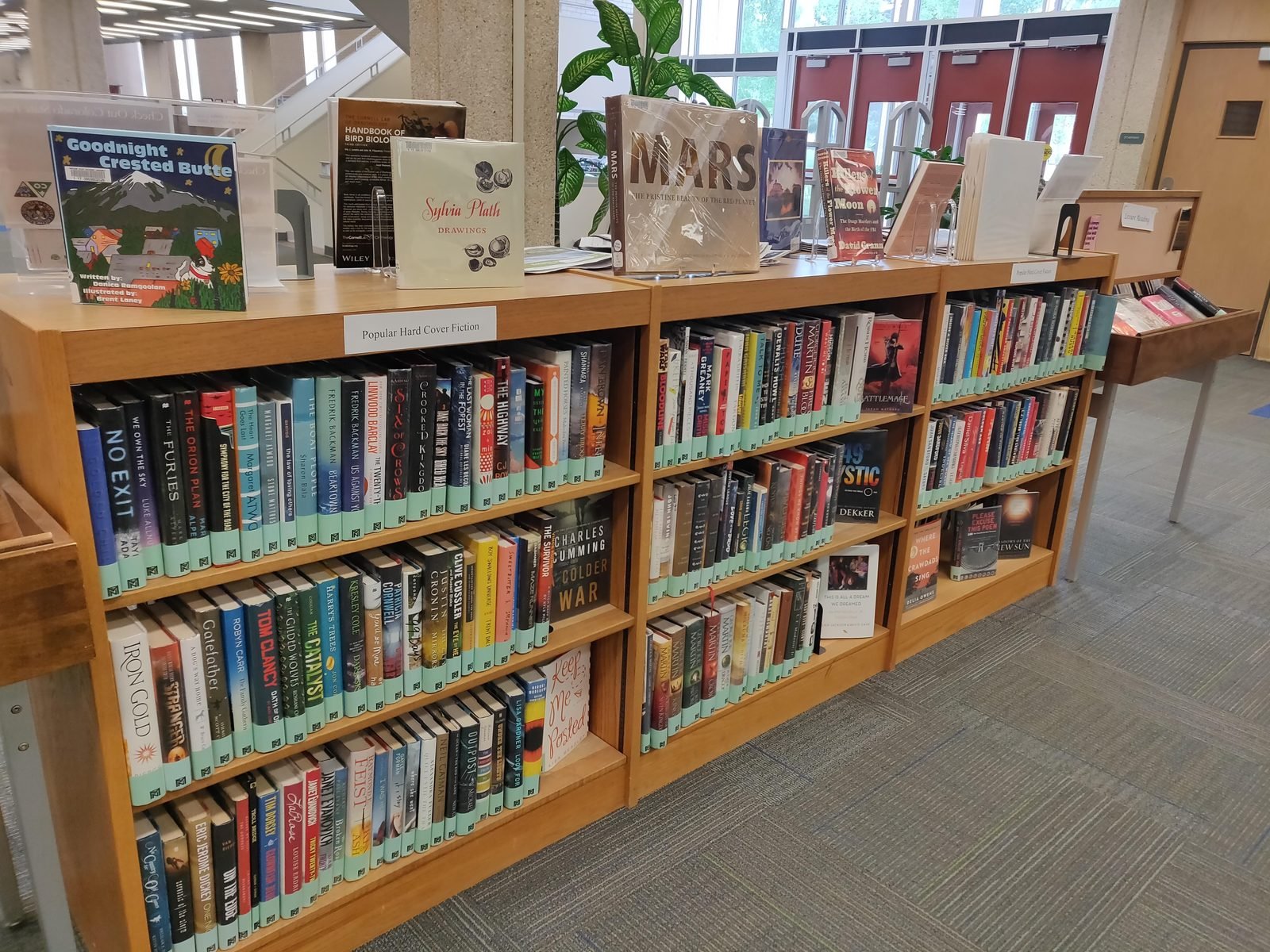 Bookshelf filled with reference books used for research and citing sources