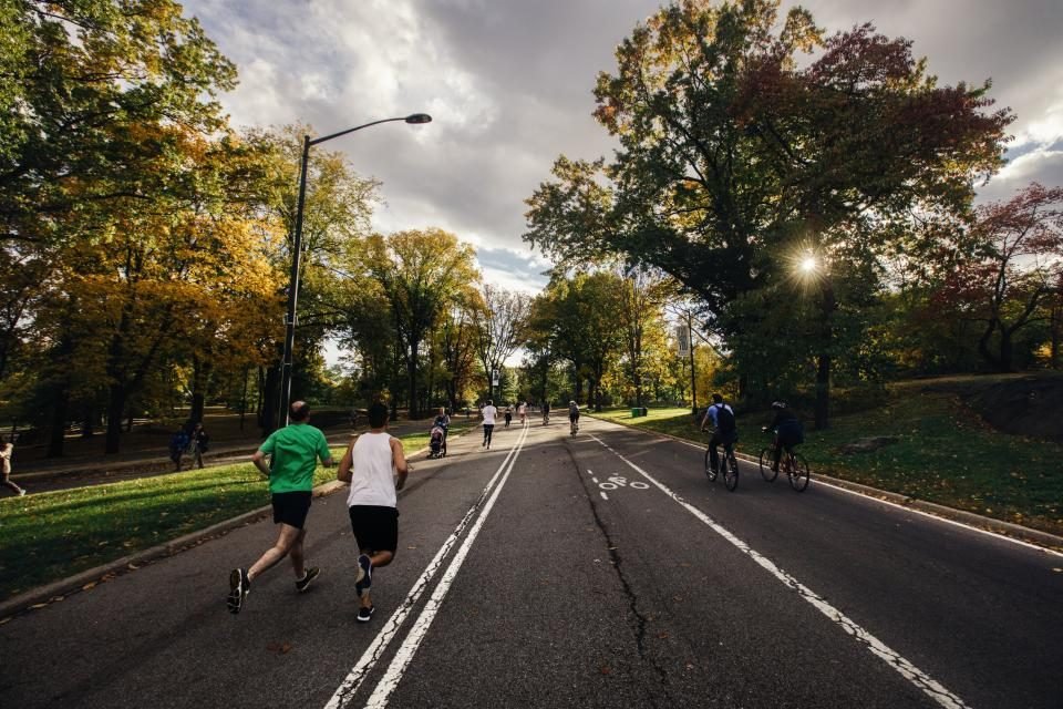 Two runners jogging along a tree-lined park road with cyclists passing in the bike lane
